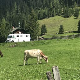 En las montañas austriacas